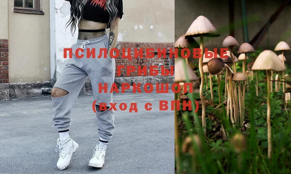 круглые Магас